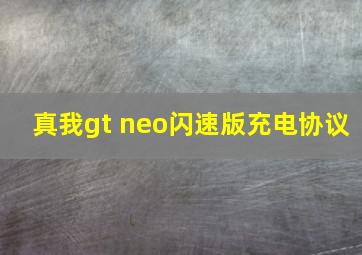 真我gt neo闪速版充电协议